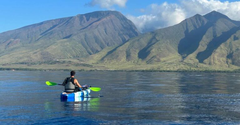 Kayak, Whale Watch And Snorkel At Turtle Town Tour Overview And Pricing