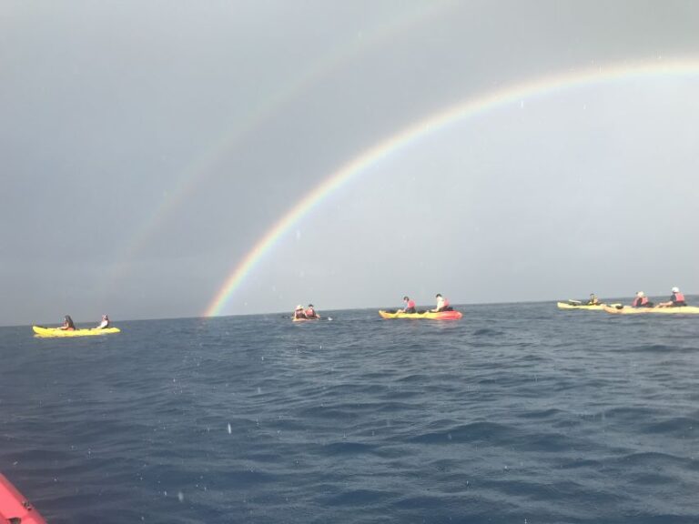 Kayaking And Snorkeling At Turtle Reef Activity Overview