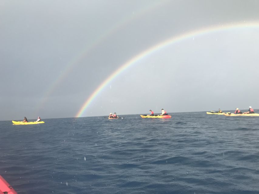 Kayaking and Snorkeling at Turtle Reef - Activity Overview