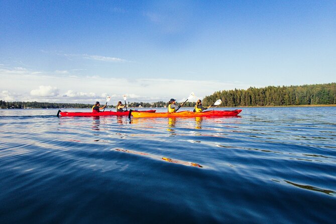 Kayaking Tour Around Vaxholm in Stockholm Archipelago - Experience Overview