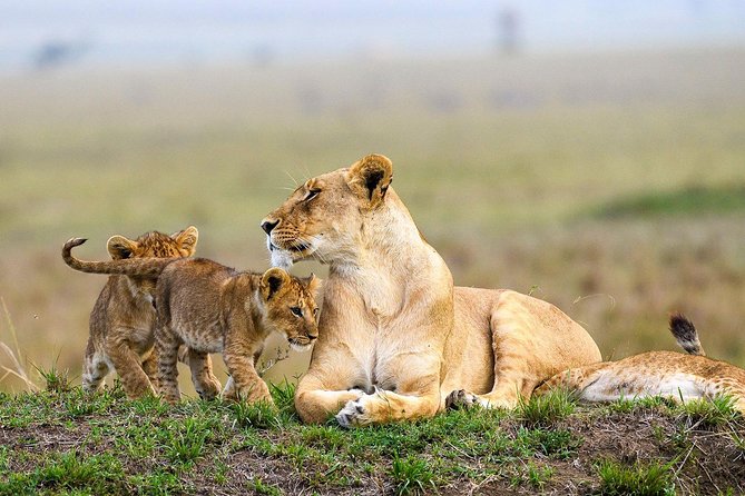 Keekorok Lodge 3 Days, 2 Nights Maasai Mara Offer - Accommodation and Dining