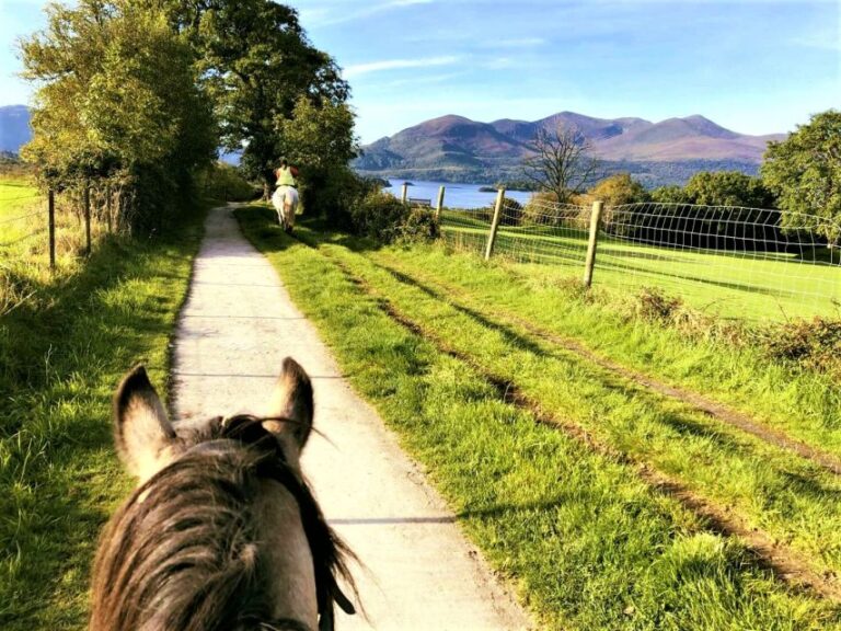 Kerry: Guided Horse Riding Tour In Killarney National Park Highlights Of The Tour