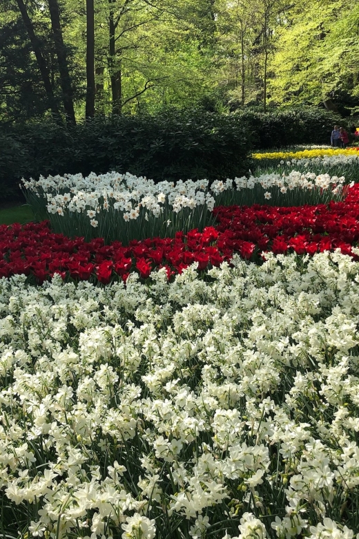 Keukenhof, Flower Fields & Zaanse Schans Windmills Tour - Tour Overview