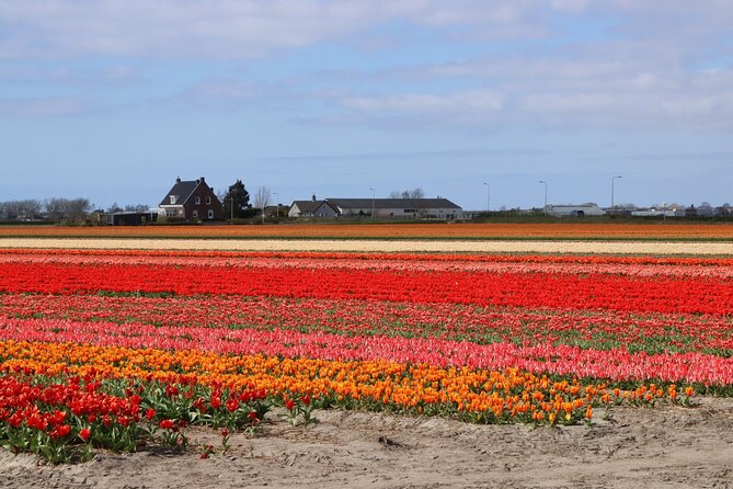 Keukenhof Gardens And Delft Guided Tour From Amsterdam Tour Overview