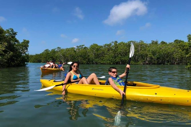 Key West Mangrove Kayak Eco Tour Tour Overview And Experience