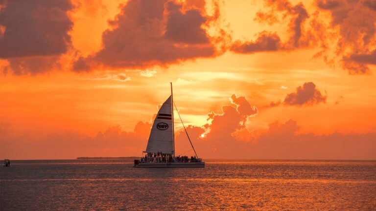 Key West: Rum And Reggae Afternoon Snorkel And Sunset Activity Overview