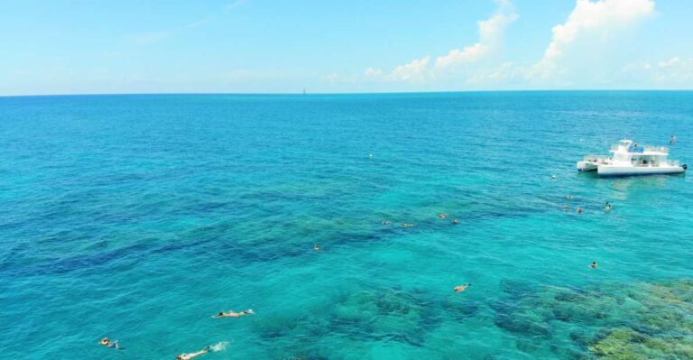 Key West: Sunset Snorkel Cruise With Draft Beer & Wine Activity Overview