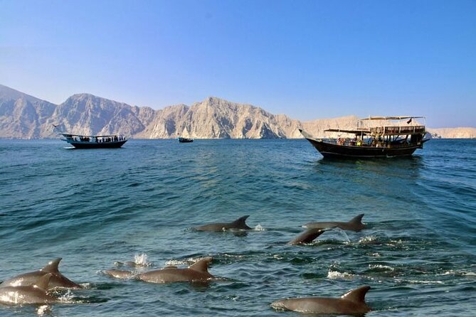 Khasab Musandam Full Day Dhow Cruise With Lunch And Snorkeling Exploring Musandams Stunning Fjords