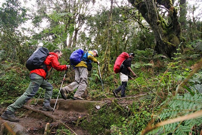 Kilimanjaro Private 2 Days Hiking Tour Inclusions