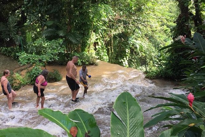 Konoko Falls And Tropical Garden Tour From Runaway Bay Tour Overview