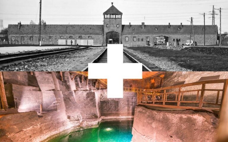 Krakow: Auschwitz Birkenau And Salt Mine Guided Tour Tour Overview And Details