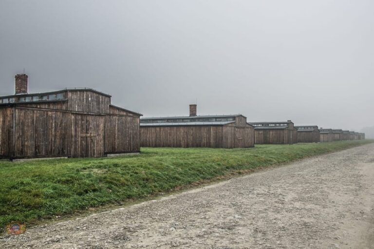 Krakow: Auschwitz Birkenau Extended Guided Tour & Options Tour Overview And Details