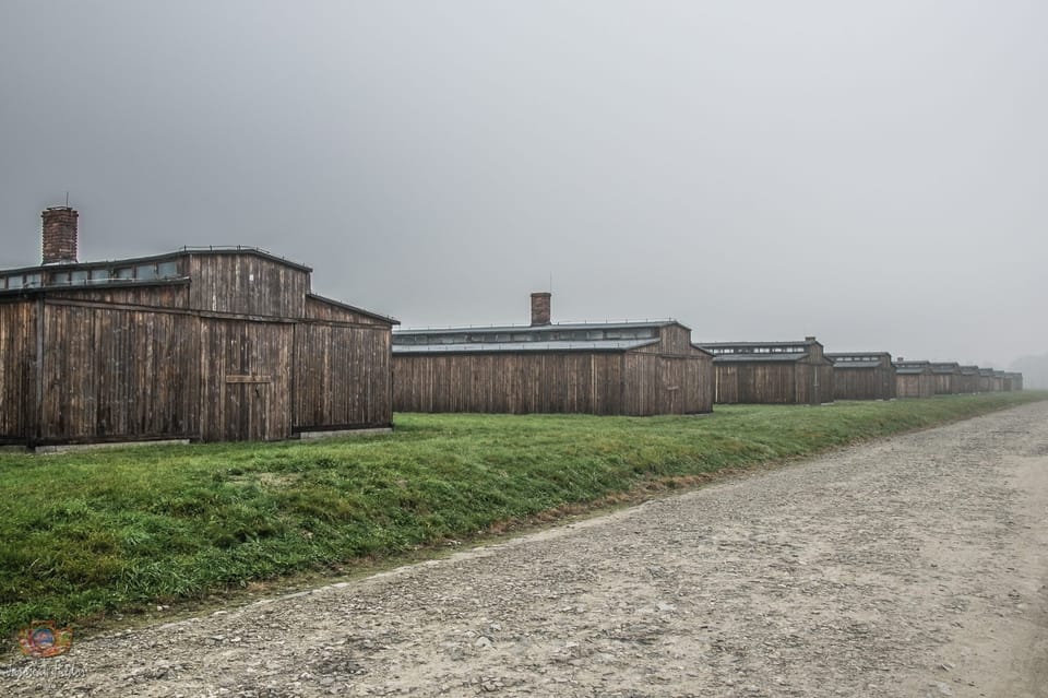 Krakow: Auschwitz-Birkenau Extended Guided Tour & Options - Tour Overview and Details