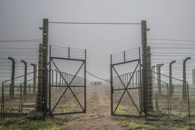 Kraków: Auschwitz Birkenau & Salt Mine Full Day Guided Tour Tour Overview And Pricing