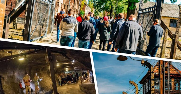 Krakow: Auschwitz & Wieliczka Salt Mine Guided Day Tour Tour Overview And Pricing