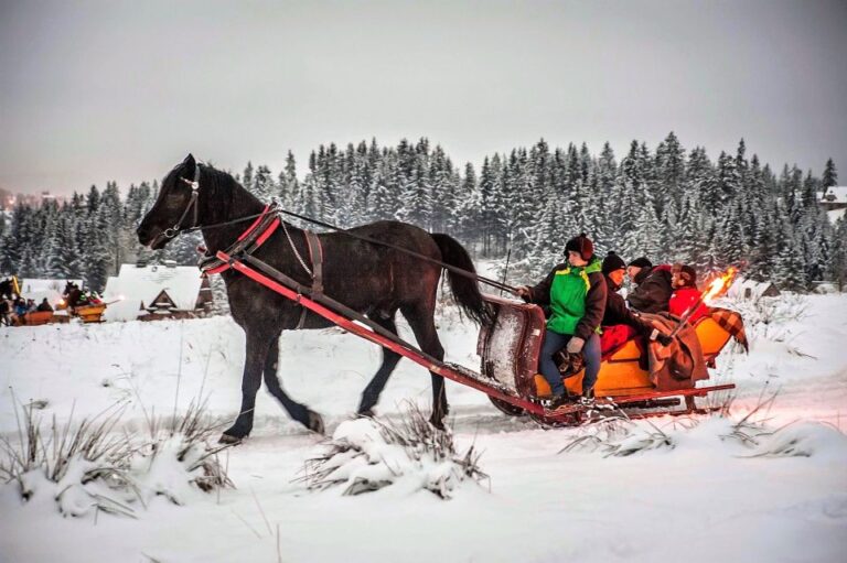 Kraków Frame; Tatra Mountain Sleigh Ride In Zakopane Activity Overview