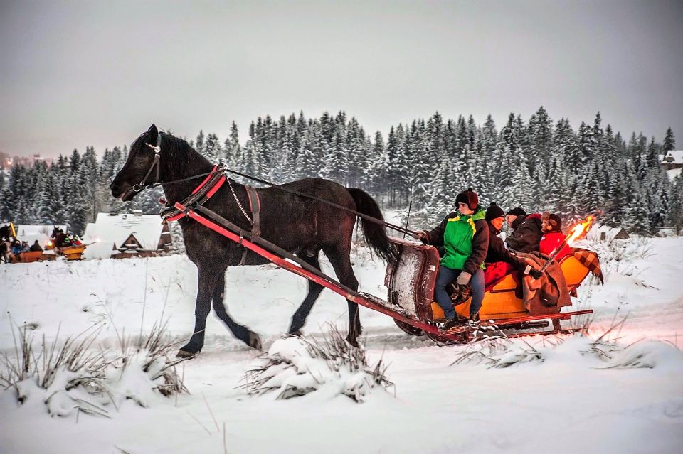 Kraków Frame; Tatra Mountain Sleigh Ride in Zakopane - Activity Overview