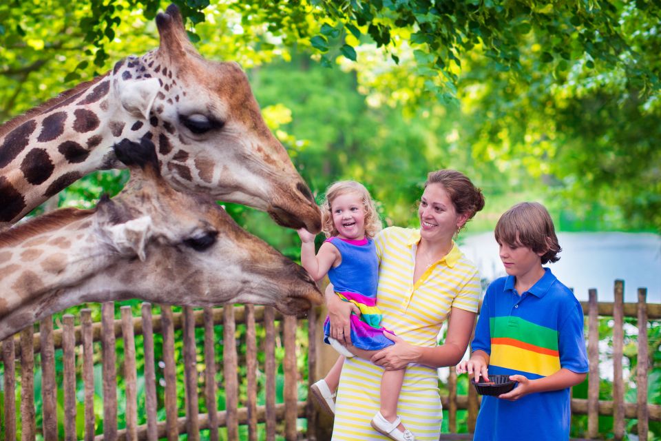 Krakow: Zoo Tour With Private Transport and Tickets - Tour Overview and Pricing