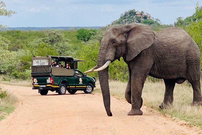 Kruger National Park Afternoon Private Safari Overview Of The Safari