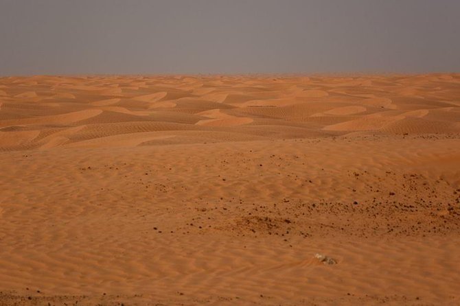 Ksar Ghilane 1 Day: The Hot Spring And The Homestay Desert Gate And Hot Spring