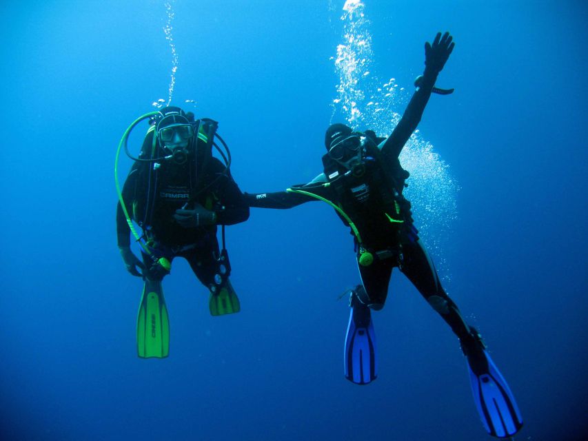 Kusadasi: Scuba Diving for Beginner or Experienced W/ Lunch - Suitable for Divers of All Levels