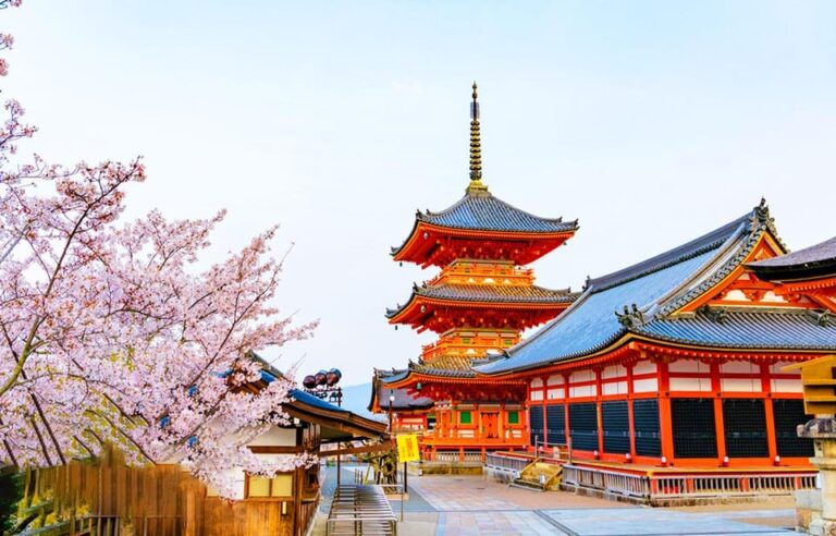 Kyoto And Nara Day Tour With Kiyomizu Dera,nara Park&temple Tour Overview And Pricing