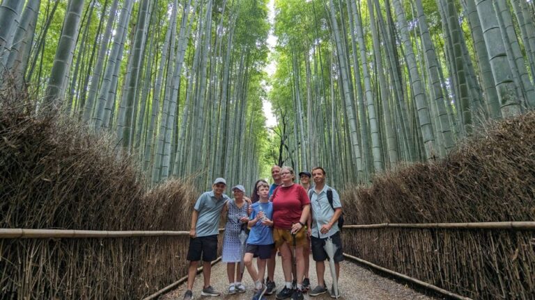 Kyoto: Arashiyama Bamboo, Temple, Matcha, Monkeys, & Secrets Tour Overview