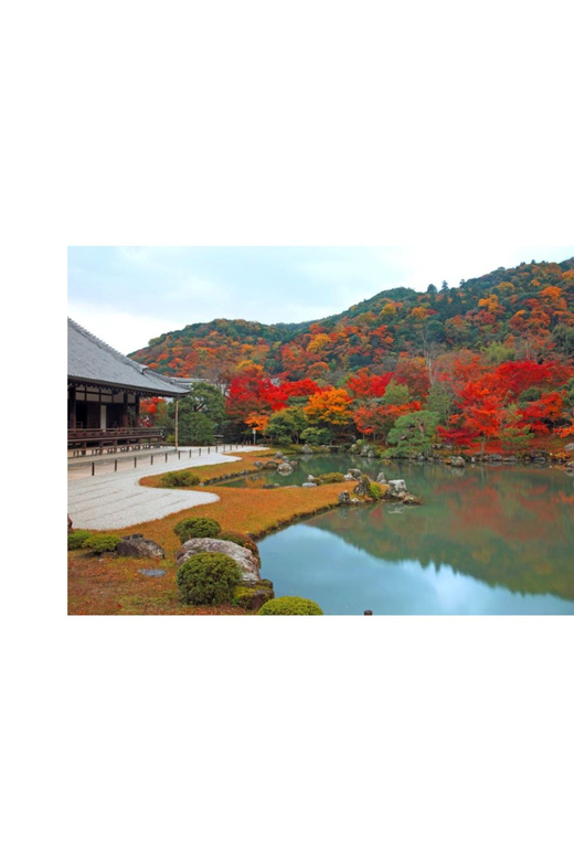 Kyoto: Full Day UNESCO And Historical Sites Private Car Tour - Pickup and Accessibility