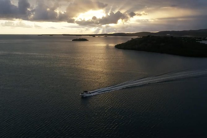 La Parguera Glowing Bioluminescent Bay Boat Tour From San Juan - Tour Overview