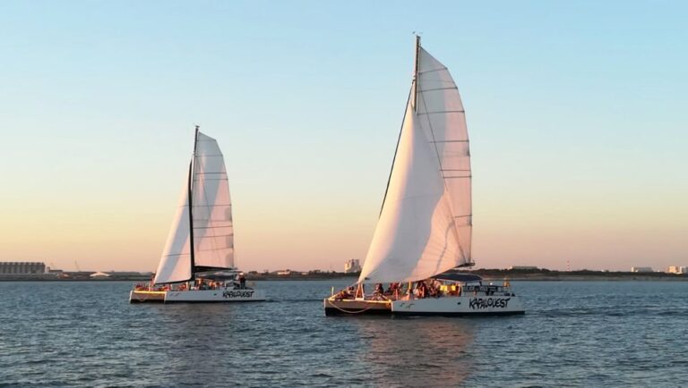 La Rochelle: Catamaran Cruise Duration And Availability