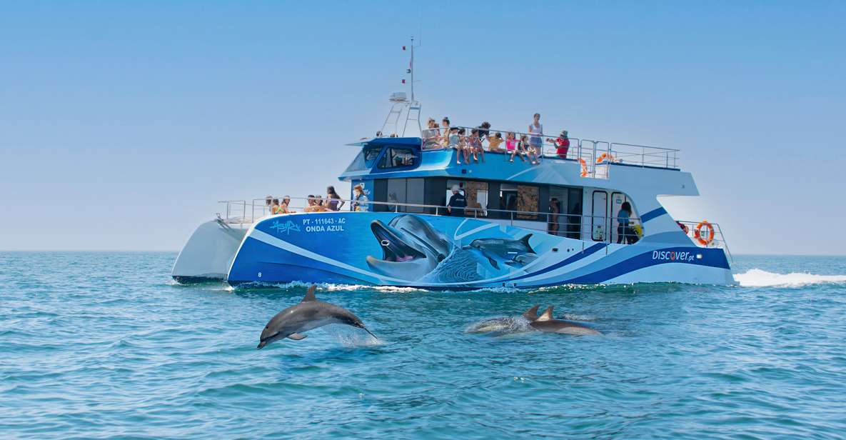 Lagos: Dolphin Watching Half-Day Cruise & Water Activities - Overview of the Activity