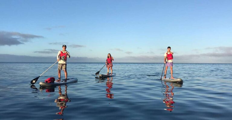 Lagos: Sunrise Sup Tour To The Ponta Da Piedade Caves Tour Overview