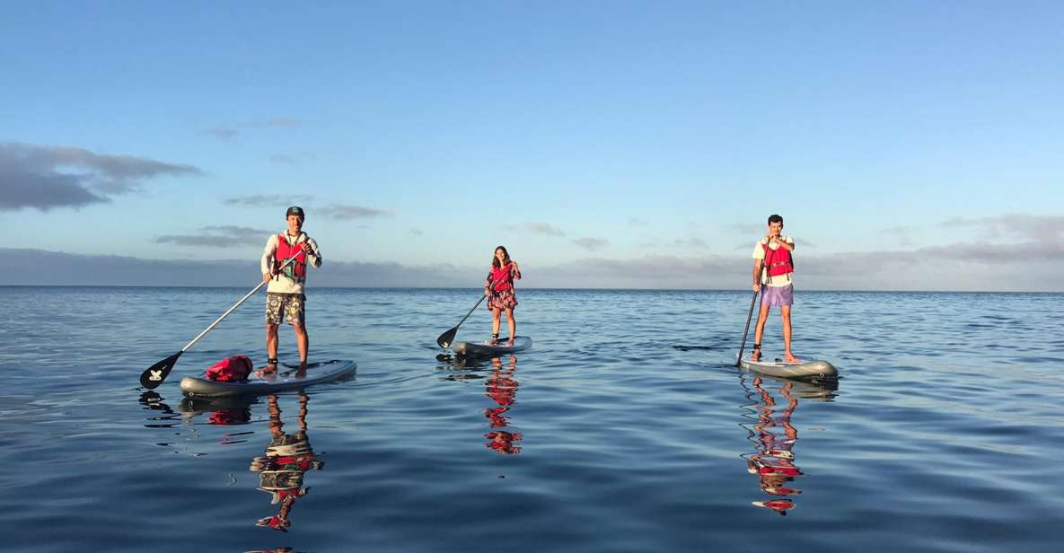 Lagos: Sunrise SUP Tour to the Ponta Da Piedade Caves - Tour Overview