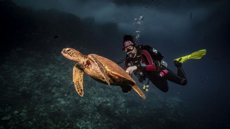 Lahaina: Discover Scuba Diving Class Program Overview