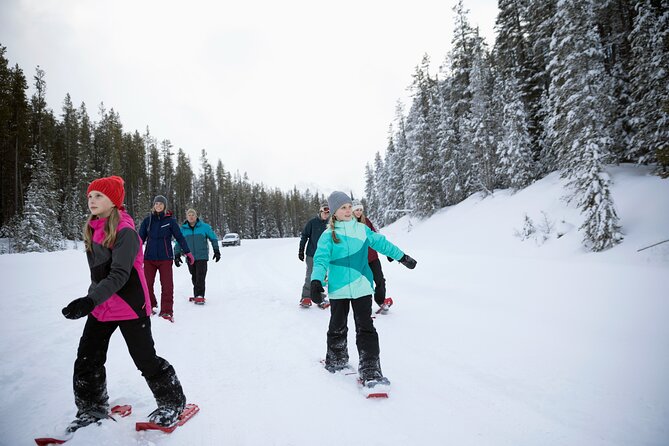 Lake Louise Scenic Snowshoe Tour Overview Of The Tour