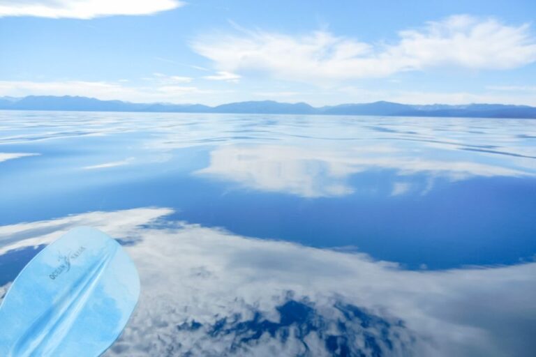 Lake Tahoe: Discover Kayaking Or Paddleboarding Tour Tour Overview