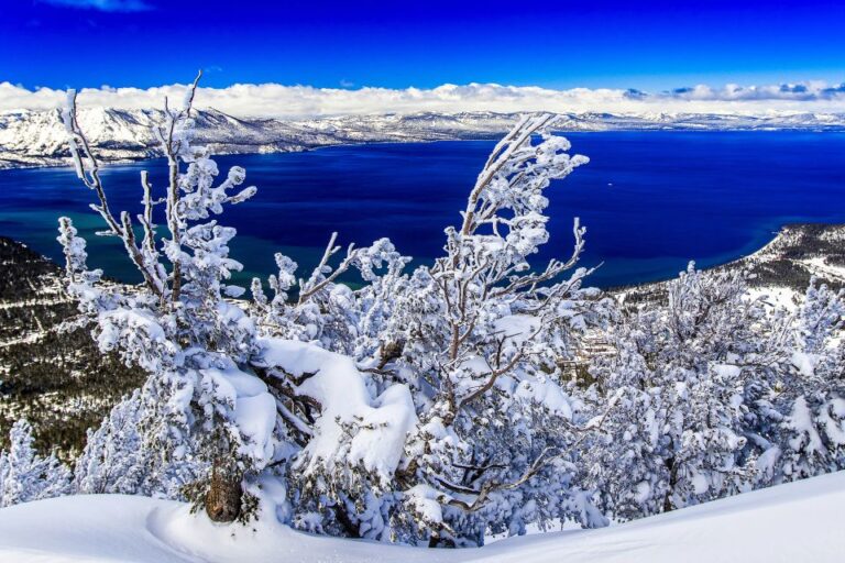 Lake Tahoe: Half Day Photographic Scenic Tour Explore South And West Shores