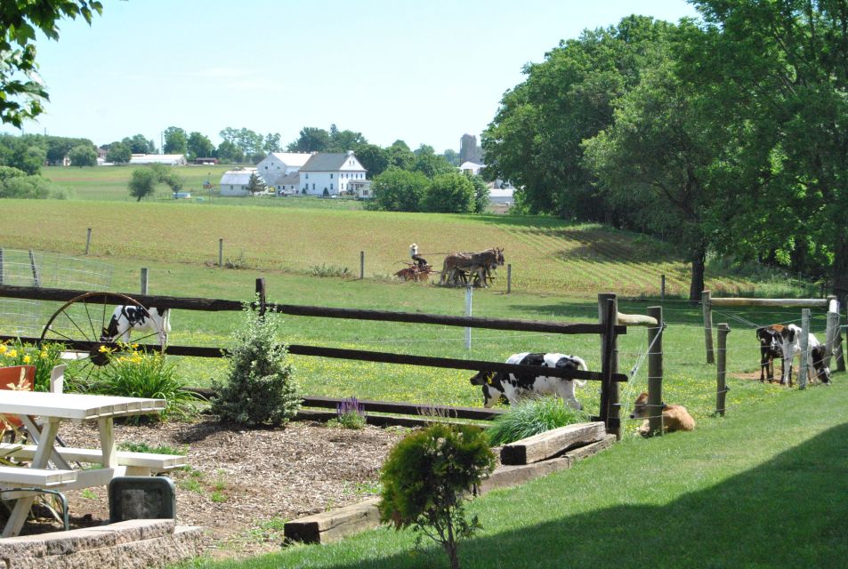 Lancaster: Amish Experience Visit-in-Person Tour of 3 Farms - Tour Highlights