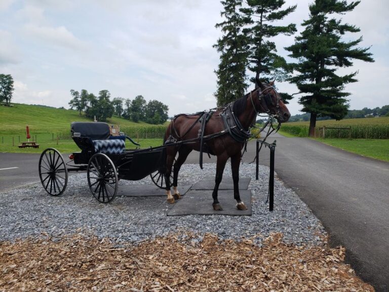 Lancaster: Downtown & Amish Country Authentic Lancaster Tour Tour Overview