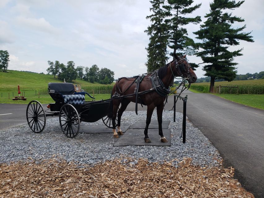 Lancaster: Downtown & Amish Country Authentic Lancaster Tour - Tour Overview