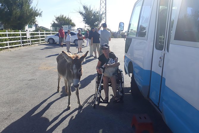 Landmarks Of Grand Turk Accessibility And Participation