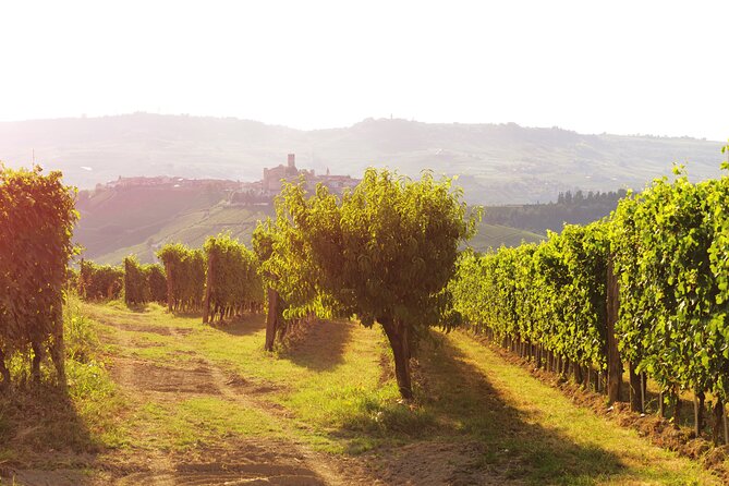 Langhe (piedmont): Wine Tasting Experience Experience Overview