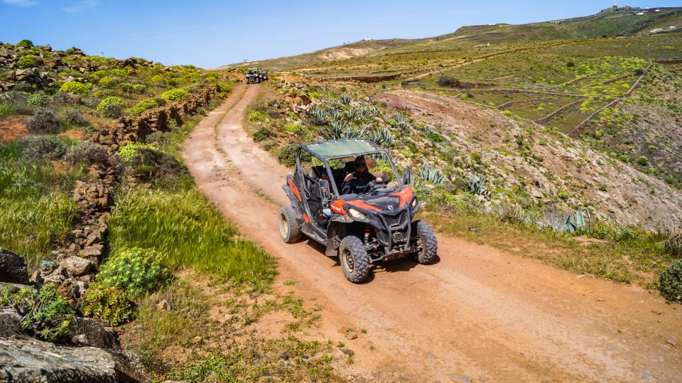 Lanzarote: Guided Off-Road Volcano Buggy Tour - Tour Overview