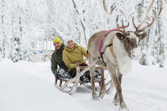 Lapland Reindeer Safari From Rovaniemi Tour Highlights