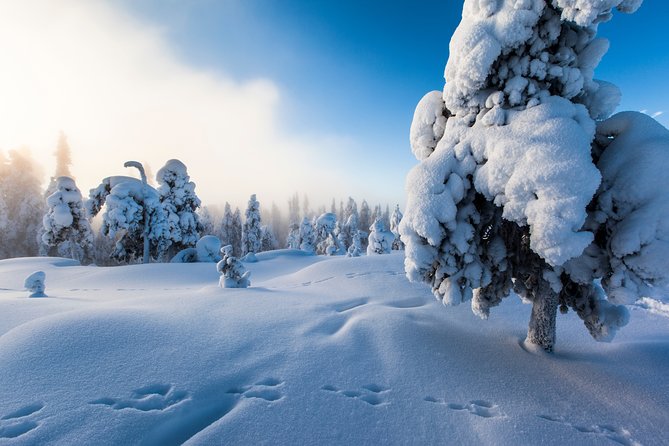 Lapland Snowmobile Safari From Levi Thermal Gear Rental