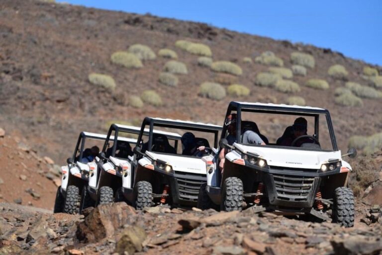 Las Palmas: Gran Canaria Guided Buggy Tour Tour Overview And Details