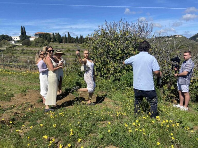 Las Palmas: Gran Canaria's Best Wineries And Views Tour Tour Overview