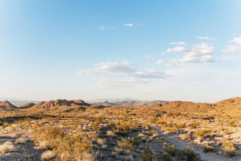 Las Vegas: Guided Las Vegas Desert Atv Tour Tour Details And Highlights