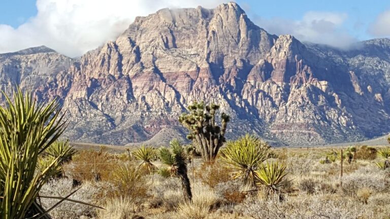 Las Vegas: Red Rock Canyon Ultimate Guided Tour Tour Overview