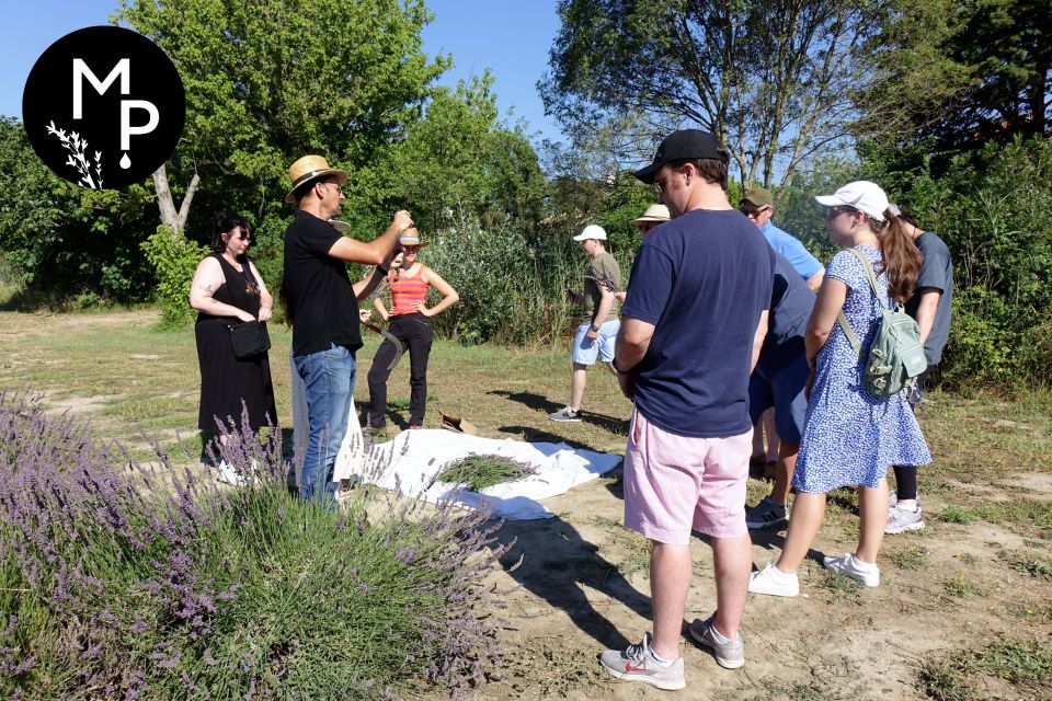 Lavender Field & Distillery Tour Between Nimes & Arles - Overview of the Tour